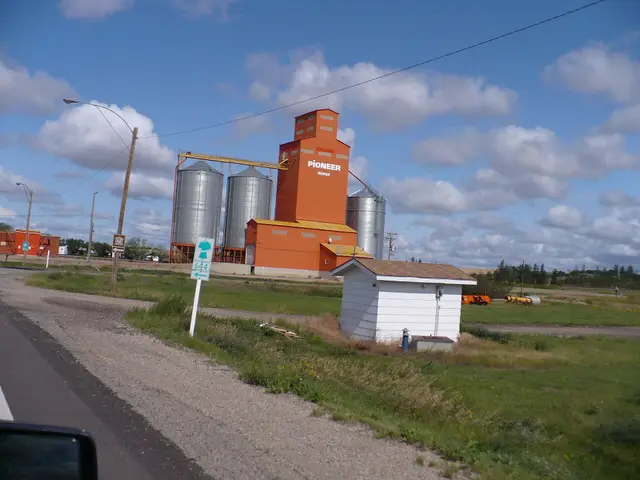 Pioneer grain elevator at Morse